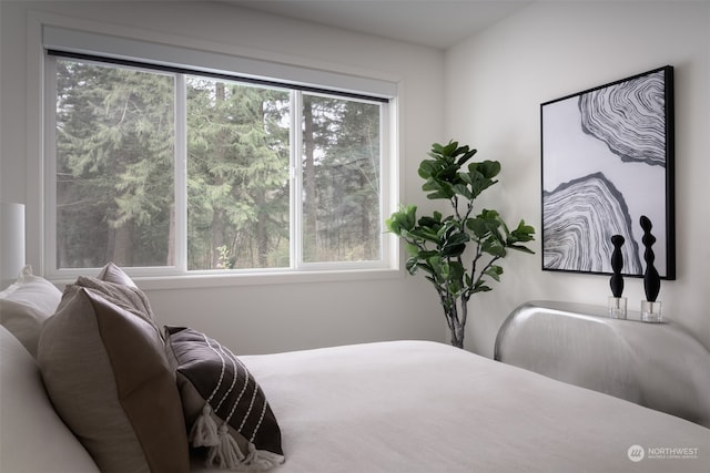 bedroom featuring multiple windows