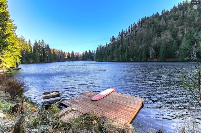 dock area featuring a water view