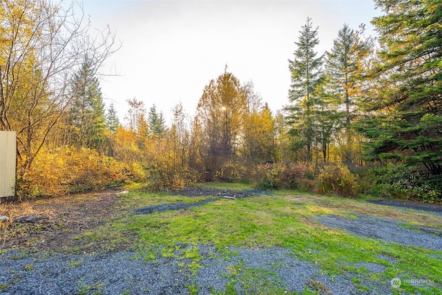 207 Meier Rd, Winlock, WA 98596 - photo 4