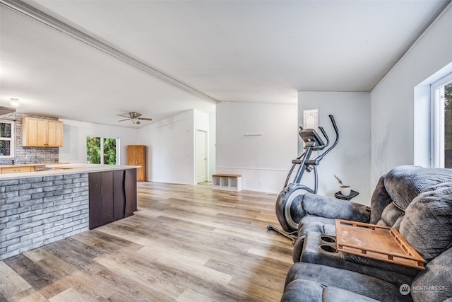 exercise area featuring a wealth of natural light, light hardwood / wood-style flooring, ceiling fan, and lofted ceiling