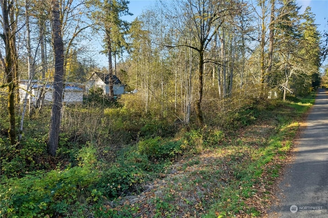 0 E Hillcrest Dr, Shelton, WA 98584 - photo 2