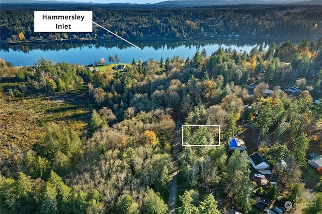0 E Hillcrest Dr, Shelton, WA 98584 - photo 6