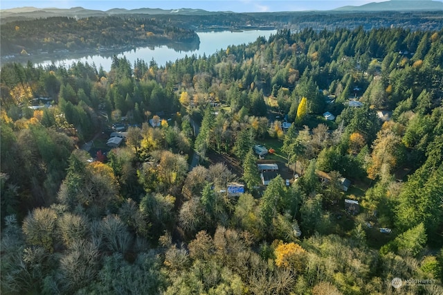 0 E Hillcrest Dr, Shelton, WA 98584 - photo 8