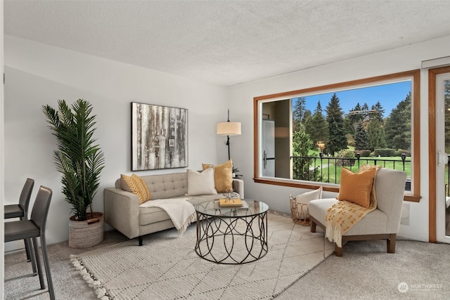 living room featuring a textured ceiling and light carpet