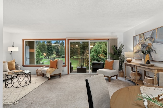 carpeted living room with a textured ceiling