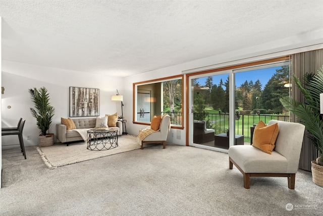 interior space featuring a textured ceiling and carpet floors