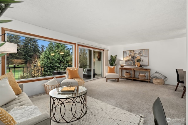 living room featuring light colored carpet and a textured ceiling