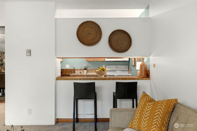 kitchen featuring carpet flooring, stove, sink, and exhaust hood