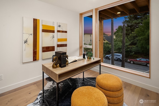 office featuring hardwood / wood-style floors