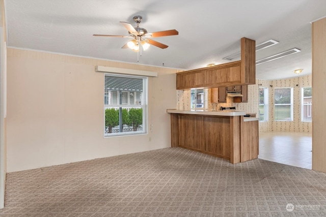 kitchen with ceiling fan, kitchen peninsula, ornamental molding, and a wealth of natural light