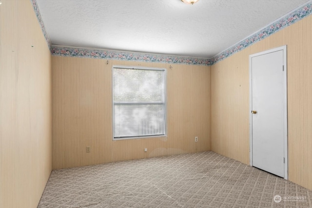 carpeted spare room featuring a textured ceiling