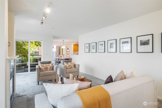 living room featuring carpet flooring