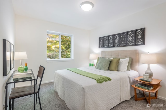 bedroom featuring carpet flooring