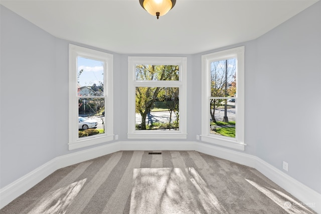 empty room featuring carpet floors