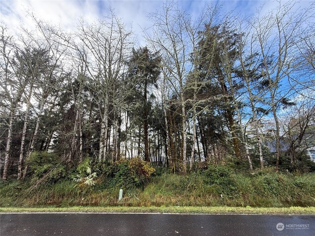 399 NE Duck Lake Dr, Ocean Shores WA, 98569 land for sale