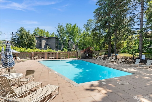 view of pool with a patio