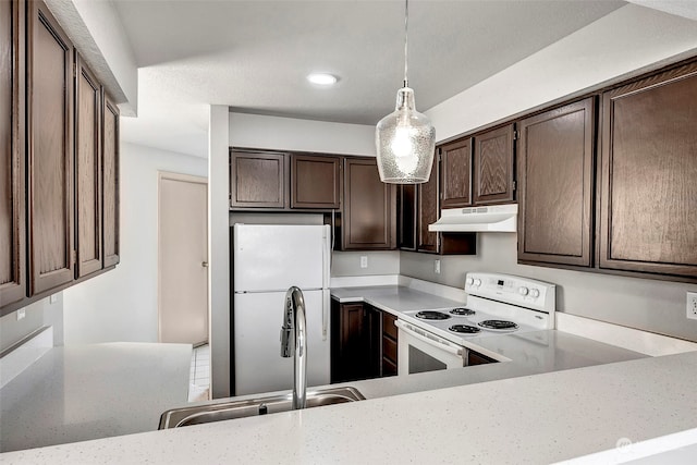 kitchen with dark brown cabinetry, white appliances, hanging light fixtures, and sink