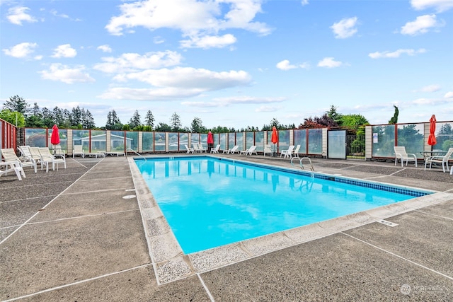 view of pool with a patio area