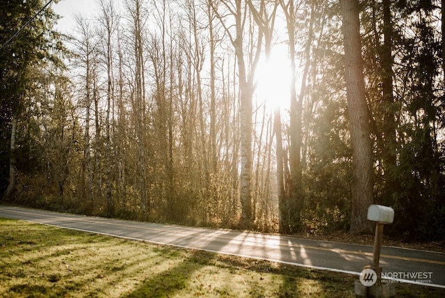 19325 Jordan Rd, Arlington, WA 98223 - view of asphalt road featuring a forest view