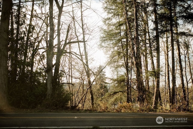 19325 Jordan Rd, Arlington, WA 98223 - view of asphalt street