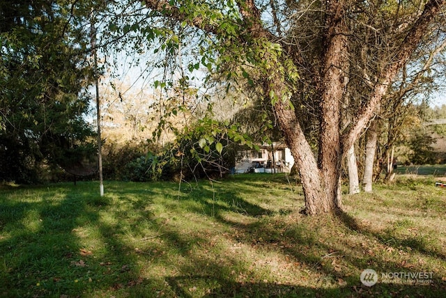 19325 Jordan Rd, Arlington, WA 98223 - view of grassy yard