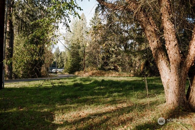 19325 Jordan Rd, Arlington, WA 98223 - view of green lawn