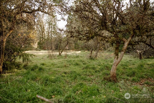 19325 Jordan Rd, Arlington, WA 98223 - view of local wilderness