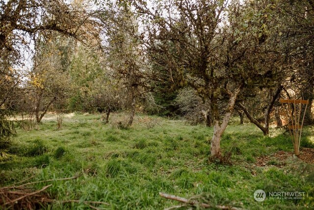19325 Jordan Rd, Arlington, WA 98223 - view of nature