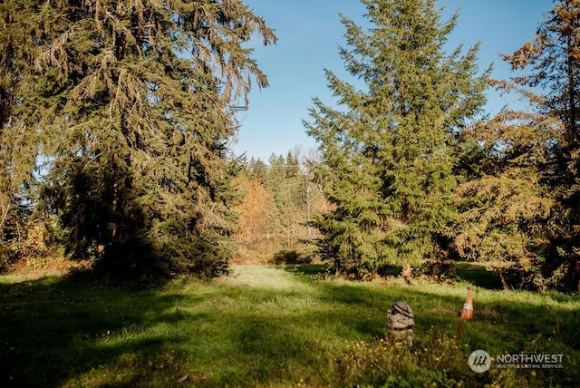 19325 Jordan Rd, Arlington, WA 98223 - view of woods