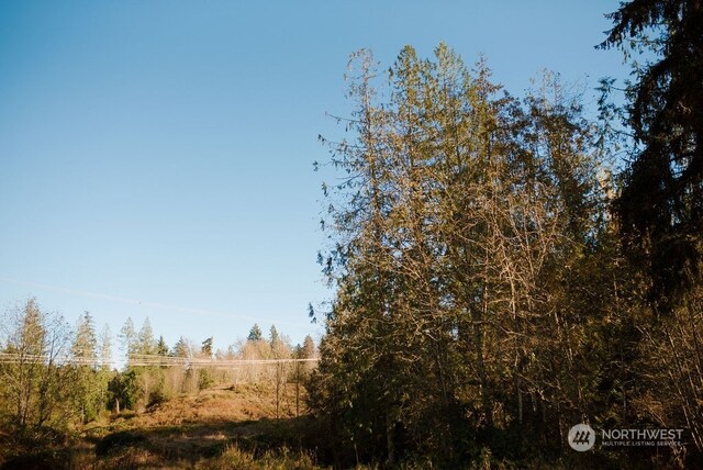 19325 Jordan Rd, Arlington, WA 98223 - view of local wilderness
