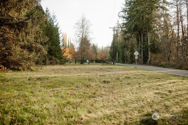 19325 Jordan Rd, Arlington, WA 98223 - view of green lawn