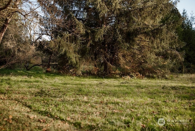 19325 Jordan Rd, Arlington, WA 98223 - view of yard