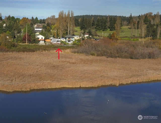 birds eye view of property featuring a water view