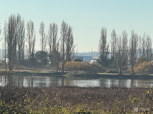 view of water feature