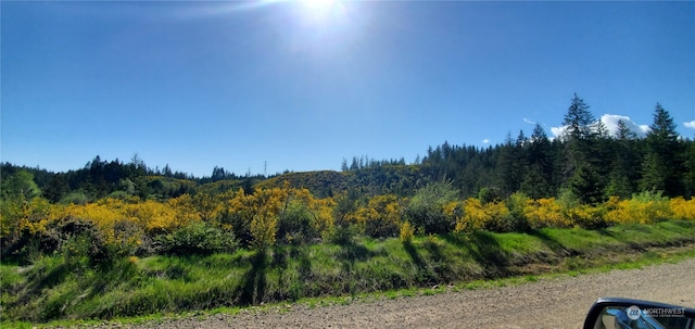 0 W California Rd, Shelton WA, 98584 land for sale