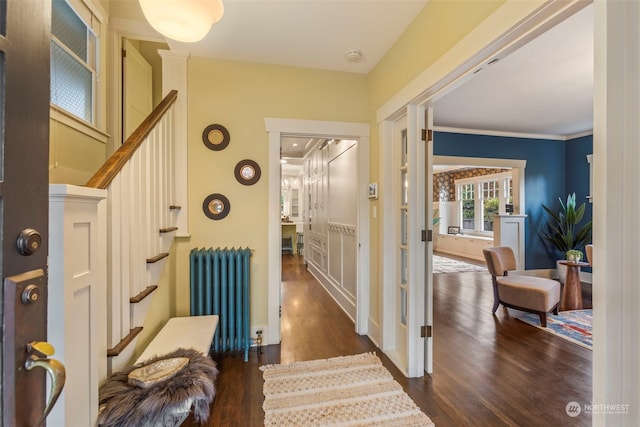 hallway featuring dark hardwood / wood-style flooring, radiator, and crown molding