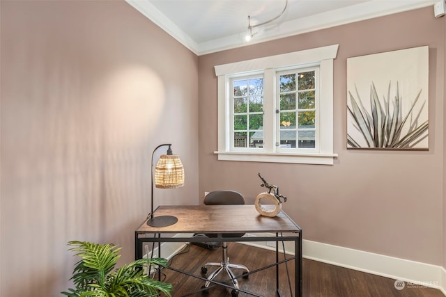 office space featuring wood-type flooring and crown molding