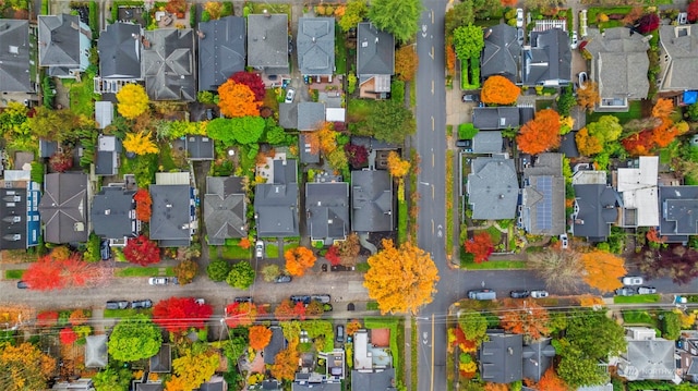 bird's eye view