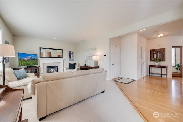 living room featuring light hardwood / wood-style floors