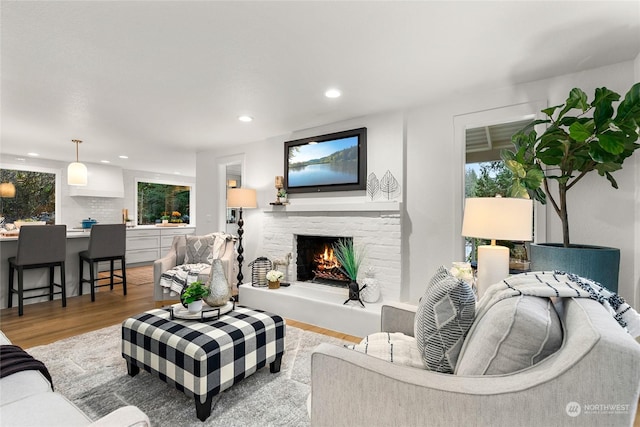 living room featuring a fireplace and hardwood / wood-style floors