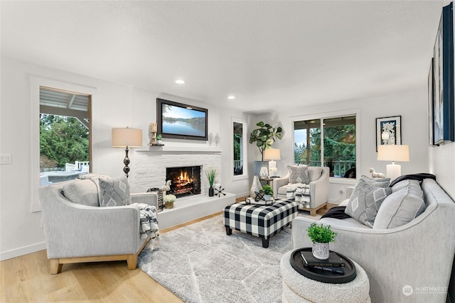 living room featuring light wood-type flooring and a wealth of natural light