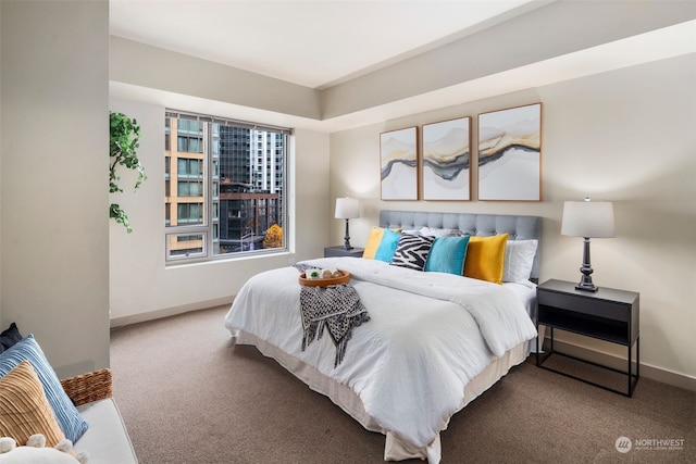 bedroom featuring carpet