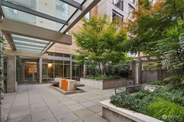 view of patio / terrace with a pergola