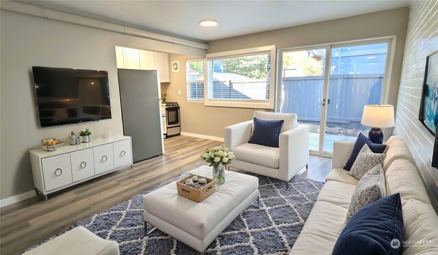 living room featuring wood-type flooring