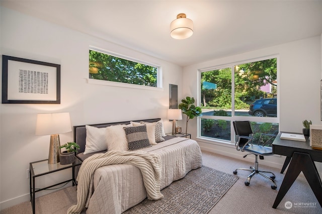 view of carpeted bedroom