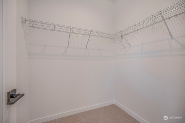 walk in closet featuring carpet flooring