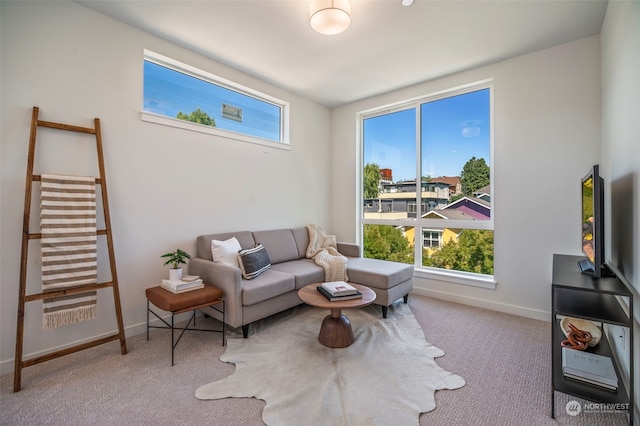 view of carpeted living room