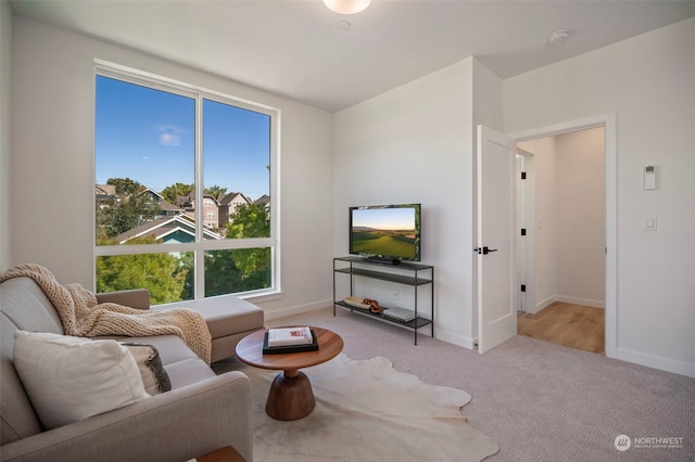 living room featuring light carpet