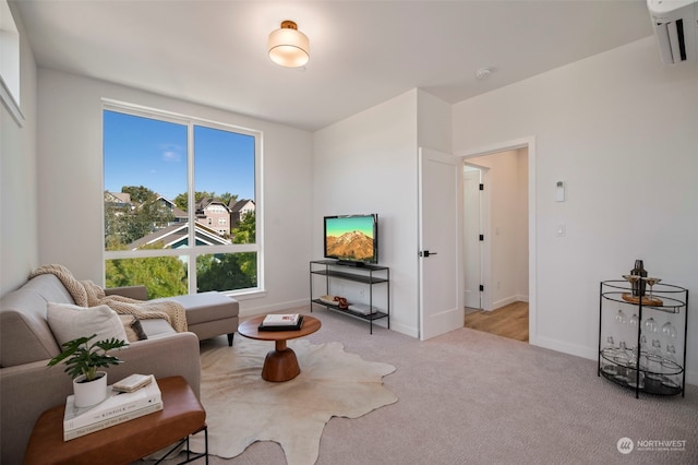 living area with light colored carpet