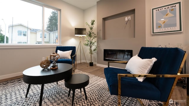 living area with wood-type flooring